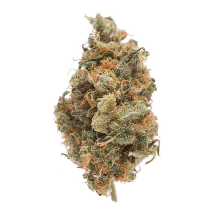 Thc Bomb